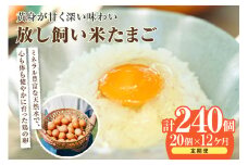 【12か月定期便】放し飼い米たまご15個+5個保証（計20個）