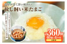 【6か月定期便】放し飼い米たまご55個+5個保証（計60個）