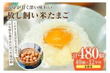 【12か月定期便】放し飼い米たまご35個+5個保証（計40個）