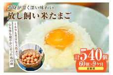 【9か月定期便】放し飼い米たまご55個+5個保証（計60個）