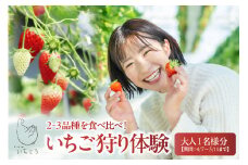 2～3品種の苺を食べ比べ！いちご狩り体験【4月7日～5月11日まで】大人1名分