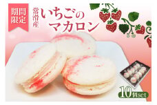 常滑いちごのマカロン10個セット