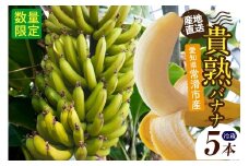 貴熟バナナ （5本）