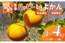 【訳あり】常滑ハッピーいよかん 果物 フルーツ 柑橘 伊予柑 イヨカン みかん 訳あり ご家庭用 数量限定 愛知県 常滑市 知多半島