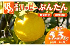 【訳あり】常滑ハッピーぶんたん 果物 フルーツ 柑橘 文旦 ブンタン みかん 訳あり ご家庭用 数量限定 愛知県 常滑市 知多半島