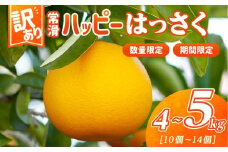 【訳あり】常滑ハッピーはっさく 果物 フルーツ 柑橘 八朔 ハッサク みかん 訳あり ご家庭用 数量限定 愛知県 常滑市 知多半島
