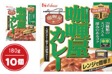 No.013 カリー屋カレー中辛 詰め合わせ10個入り