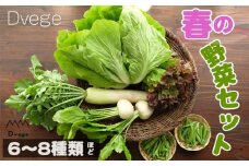 No.039 Dvegeの春の野菜セット