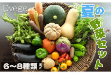 No.040 Dvegeの夏の野菜セット