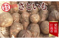 No.080 【先行受付】愛知県江南市産さといも5kg【2023年11月以降順次発送開始】