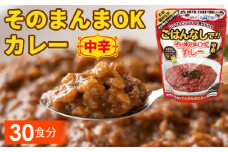 No.115 三徳屋 そのまんまOKカレー 中辛 30食分