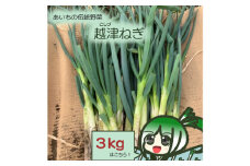 No.138 越津ねぎ　約3kg