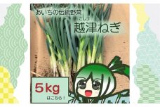 No.142 越津ねぎ　約5kg 