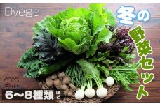 No.146 Dvegeの冬の野菜セット