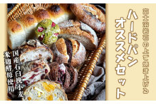 No.178 国産石臼挽小麦・米麹酵母使用　富士溶岩石の上で焼き上げるハードパンオススメセット ／ 焼き菓子 食パン ハード系 詰合せ 愛知県