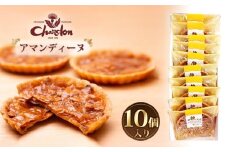 アマンディーヌ詰合せ 10個入り ／ 洋菓子 焼菓子 奉納品 ギフト 贈り物 アーモンド 香ばしい キャラメル 菓子 スイーツ デザート 愛知県 No.205