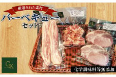 No.227 化学調味料等無添加 バーベキューセット ／ BBQ 肉加工品 豚 豚肉  ポーク ベーコンステーキ ロースステーキ ベーコンサイコロステーキ 燻製 グリュン江南 添加物不使用 無添加 愛知県