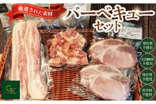 化学調味料等無添加 バーベキューセット ／ バーベキュー BBQ ベーコン 無化調 岩塩 アンデス紅塩 豚 豚肉 ステーキ ポーク ベーコンステーキ ロースステーキ ベーコンサイコロステーキ 酒の肴 つまみ くんせい 燻製 肉加工品 添加物不使用 無添加 愛知県 No.227