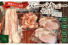 化学調味料等無添加 バーベキューセット ／ バーベキュー BBQ ベーコン 無化調 岩塩 アンデス紅塩 豚 豚肉 ステーキ ポーク ベーコンステーキ ロースステーキ ベーコンサイコロステーキ 酒の肴 つまみ くんせい 燻製 肉加工品 添加物不使用 無添加 愛知県 No.227