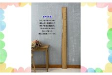 No.249-04 【天然木の一枚板で出来た身長計】せのたけくらべ　栗 ／ くり クリ 木製身長計 シンプル インテリア オイル塗装 出産祝い お子様の成長記録 一点物 愛知県