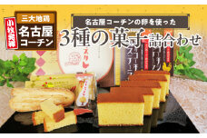 長﨑堂コーチン菓子詰合わせ