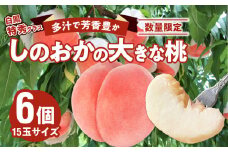 【数量限定】 しのおかの大きな桃(白鳳・特秀クラス）