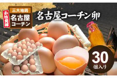 名古屋コーチン卵（30個入り)