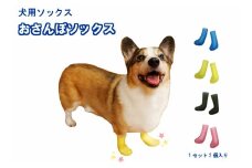 犬用ソックス  「おさんぽソックス」　②3Sサイズ×イエロー