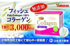 【徳用】山本漢方の低分子　無添加フィッシュコラーゲン100％（合計125スティック）