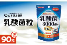 山本漢方の乳酸菌粒(30日分×5袋)