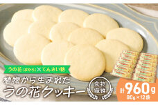 うの花クッキー 12袋（960g）