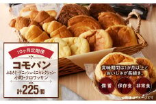 【10ヶ月定期便】【賞味期限60日間】コモパン　ふるさと・デニッシュ・こまきふるさとミニセレクション・小町・クロワッサン（計225個）／災害用備蓄 保存食 非常食 防災グッズにも