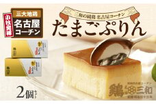 三和の純鶏名古屋コーチンたまごぷりん2個セット