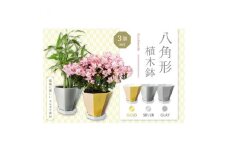 八角形植木鉢(モルタル製)3色セット