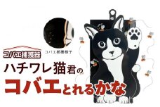 ハチワレ猫君の「コバエとれるかな」