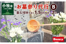 お墓参り代行B（墓石掃除を含む1.5時間程度×２回）