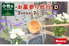 お墓参り代行D（墓石掃除を含む2.0時間程度×2回）