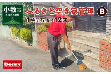 ふるさと空き家管理B