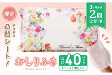 【２回定期便】おしりふき 20パック（60枚入り）厚手の凸凹シート使用！