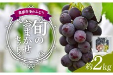 農家自慢のぶどう　種あり巨峰入り　旬のおまかせセット　約2kg
