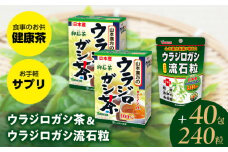 ウラジロガシ茶＆ウラジロガシ 流石粒