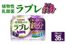 植物性乳酸菌ラブレ　1日分の鉄分36本