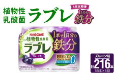 【6ヶ月定期便】植物性乳酸菌ラブレ　1日分の鉄分36本（計216本）
