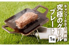 キャンプ、BBQ用鉄板『究極のグリルプレート』