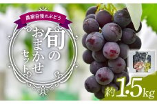 農家自慢のぶどう　種あり巨峰入り　旬のおまかせセット　約1.5kg