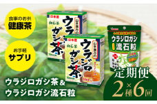 ＜6ヶ月連続定期便＞ウラジロガシ茶＆ウラジロガシ 流石粒