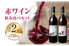 小牧ワイナリ―　赤ワイン２本飲み比べセット（小牧産ぶどう100％使用） ［ ワイン 軽口 葡萄 ぶどう ブドウ ヤマ・ソービニオン ブラック・クイーン 国産 酒 飲料 アルコール ギフト 贈り物 贈答 ］