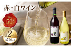 小牧ワイナリ―　赤・白ワイン２本セット【限定50セット】（小牧産ぶどう100％使用）　［ ワイン 軽口 葡萄 ぶどう ブドウ ヤマ・ソービニオン ローズ・シオター 国産 酒 飲料 アルコール ギフト 贈り物 贈答 ］