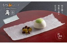 うつ和シリーズ「角（小）」(UT006B)(5枚入り) 食器 日本製 家庭用食洗器対応可 耐熱温度80℃ 耐久性 割れにくい 電子レンジ不可 皿 お皿 うつわ 器 アクリル 樹脂 和紙 モダン 手曲げ加工