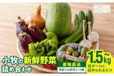 ネオコスモ農園で採れた小牧の野菜詰め合わせ　［ 新鮮 産地直送 採れたて 旬野菜 おまかせ 季節野菜 詰合せ セット 大容量 トマト ナス ピーマン かぼちゃ 冬瓜 ショウガ ネギ にんにく じゃがいも さつまいも 玉ねぎ など］
